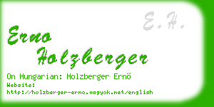 erno holzberger business card